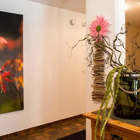 Apartment Chasa Sot-chaunt *