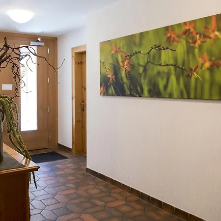 Apartment Chasa Sot-chaunt *