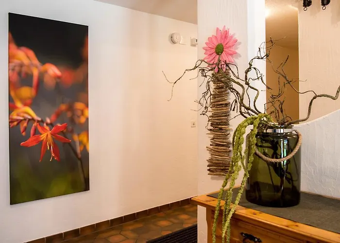 Daire Chasa Sot-chaunt *